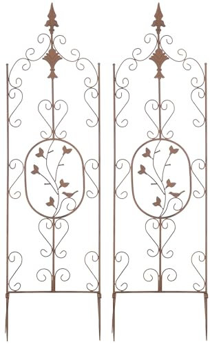 CLP Jeu de 2 treillages Burgus en Fer I Support pour Plantes grimpantes de Style Rustique, Couleur:Marron Antique