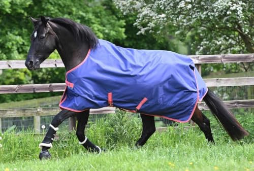 Bucas Freedom Turnout Light Regendecke