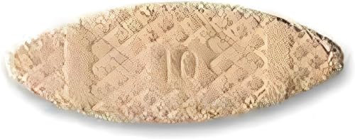 Tacos planos de madera para manualidades, láminas de montaje – Galletas Lamelle – Tacos de madera de calidad para bricolaje y carpintería (50, número 10)