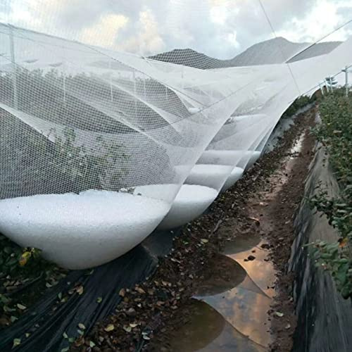 Red de jardín para pájaros, reutilizable, protección contra el granizo, para frutas y verduras, para jardín, aves de corral y estanques, mantiene a los pájaros lejos de los cultivos