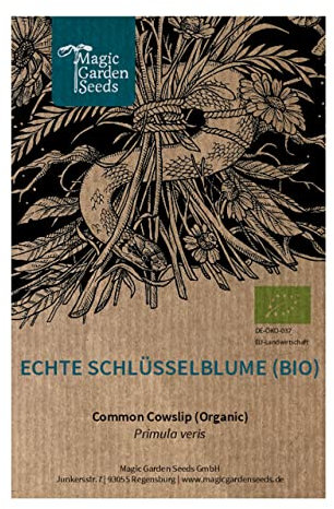 Echte Schlüsselblume (Primula veris) 200 Samen Himmelschlüssel Wiesen-Primel