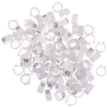 UPKOCH 100PCS Mixed Color Opening Bird Identification Foot Rings for Pigeons Parrots Cockatiels Easy to Use Safe Material Bird Supplies Random Color
