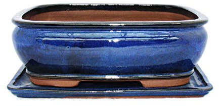 bonsaï Bol avec soucoupe gr. 4 – Rectangulaire G81 – Bleu – L 25 cm – L 21 cm – H 9,5 cm