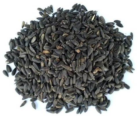 Pipas de Girasol para alimentación Animal, Ideal para Aves y roedores. Destaca como suplemento por su Alta cantidad de Hierro Calcio y vitaminas A,D,E y B. Sacos de 20 kilogramos