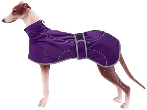Geyecete Abrigo Invierno para Galgo, Impermeable Chaquetas Perro con Forro Polar Cálido,Abrigo Whippet, Abrigo Lurcher,Térmico Chaquetas Ideal para Perros Medianos y Grandes-Morado-XS