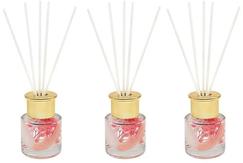 The Leonardo Collection Desire - Diffuser Pampas Set 3 - Rose & Magnolia 3 x 50 ml