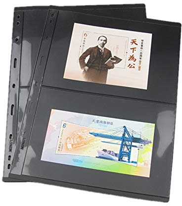 MUROAD Páginas de Sellos para Carpeta de Álbumes, 10 Hojas de 2 Filas para Coleccionistas, Paquete Profesional