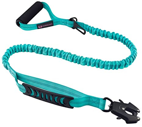 Taktische Hundeleine ohne Ziehen für Stoßdämpfung mit drehbarem Froschclip, elastische Bungee-Hundeleine mit 2 Kontrollgriffen, reflektierend, stoßdämpfend, Trainingsleine für große Hunde (Cyan)