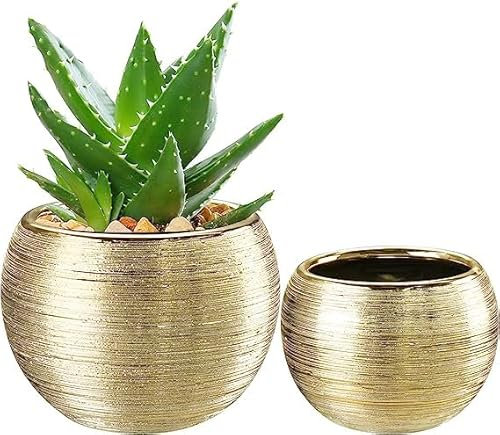 pdodo Gold Blumentopf Keramik, Dekorierten Übertopf, Blumentöpfe für den Innenbereich für Sukkulentenn,Runde Orchideen-Blumentöpfe, Blumentöpfe für Schlangenpflanzen, Kräuter im Innenbereich