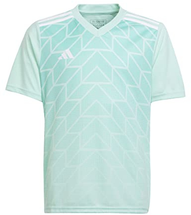 Adidas Boys Jersey (Short Sleeve) Team Icon 23 Jersey, Clear Mint, IC1255, 128