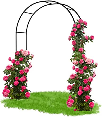 Arche de Jardin pour Plantes Grimpantes Robuste Arceau a Rosiers Diverses Décoration de Fête Nuptiale Arche d'entrée,Arche De Mariage Métal,Robuste et Facile à Installer,Noir,240x220x40CM