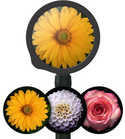 DocCheck Thïngs Stethoskop Membran-Sets Drums, für Littmann® Classic III™ und Cardiology IV™, bedruckt mit Motiv, 3 Membranen (Flowers)