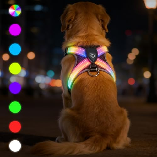 Harnais Lumineux pour Chien - Harnais LED Confortable avec 7 Couleurs & Modes Clignotants - Rechargeable USB-C, 11h d'Autonomie - pour Chiens de Taille Moyenne 8-25kg