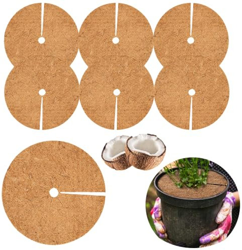 Homefantasy 6 Pièces disques de Noix de Coco 30cm,Tapis de Protection des Plantes,Tapis de Noix,Plante Protection Hivernale Coco,pour Protection Contre Le Gel,Tapis de Protection Les Mauvaises Herbes