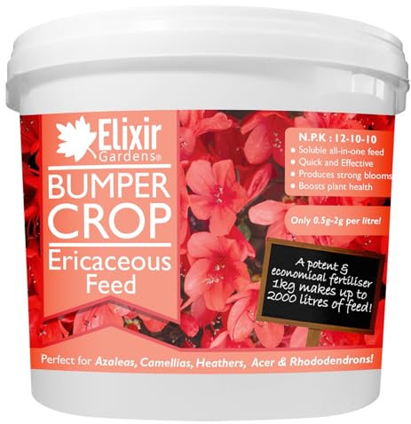 Elixir Gardens Bumper Crop Ericaceous Feed Fertiliser - NPK 12-10-10+ 4 | Plant Food for Azalea, Magnolia, Rhododendron & Camellia | Available from 1kg - 20kg | 1kg Resealable Tub