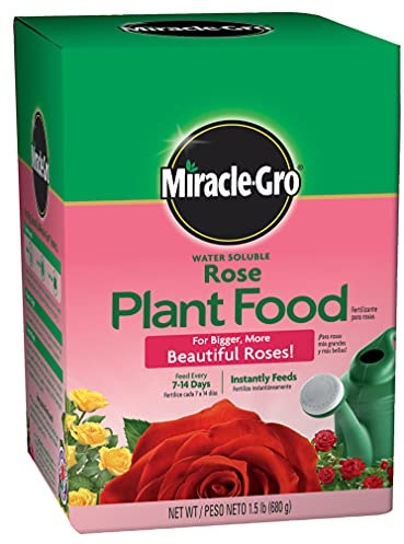 Miracle-Gro Rose Plant Food, 1.5-Pounds (Rose Fertilizer)