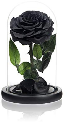 NATROSES Christmas Birthday Gifts for Women, Handmade Preserved Roses in Glass Dome, Black Roses Roses, Preserved Flowers Gifts for Mom, Mothers Day Flowers