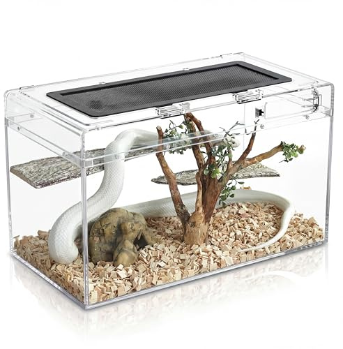QWORK® Scatola per rettili, reptile growth pc terrario, 50 * 24 * 27cm per una varietà di rettili e insetti