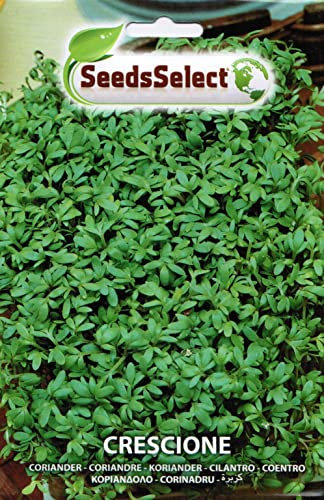 SEMI SEMENTI DI CRESCIONE IN BUSTINA