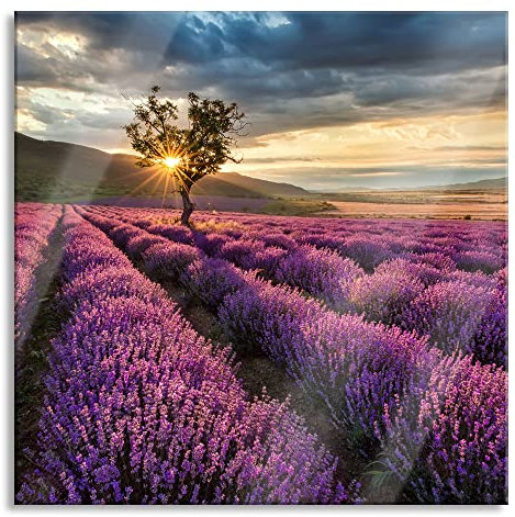Pixxprint Glasbild, Wandbild auf Echtglas, Lavendel Provence mit Baum, 50x50 cm, inkl. Aufhängung und Abstandshalter