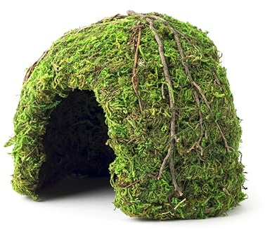 Galapagos (05366 Mossy Dome Hide, 6 in, Galápagos Green