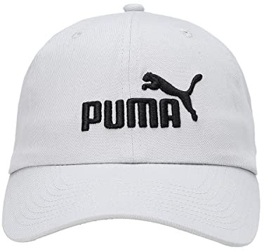 PUMA Essential No.1 BB Cap Platinum Gray