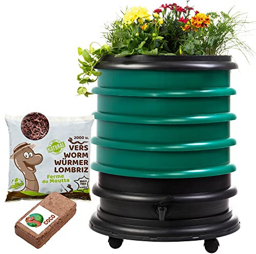 WORMbox | Wurmkomposter Wurmfarm Wurmkiste mit 4 Schalen Dunkelgrün + Pflanzgefäß + 1kg Kompostwürmer / 2000 STK + 1 Coco | 64 Liter | Regenwurmkomposter, Kompostwürmer produzieren Wurmhumus