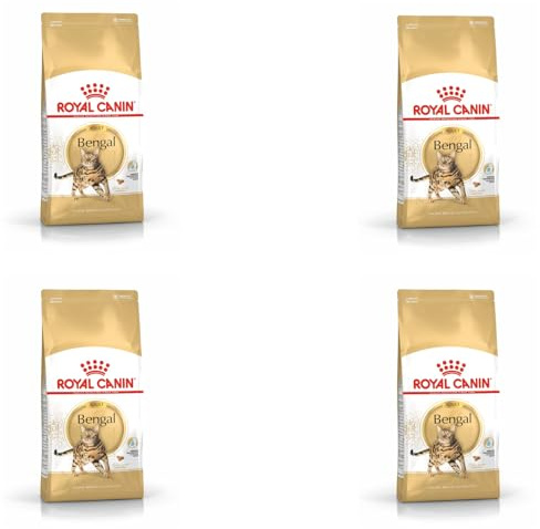 Royal Canin Bengal Adult | Pack de 4 | 4 x 400 g | Alimentation complète pour Chats | Spécialement pour Les Chats Bengals Adultes | À partir de 12 Mois | Nourriture sèche pour Chats Bengals