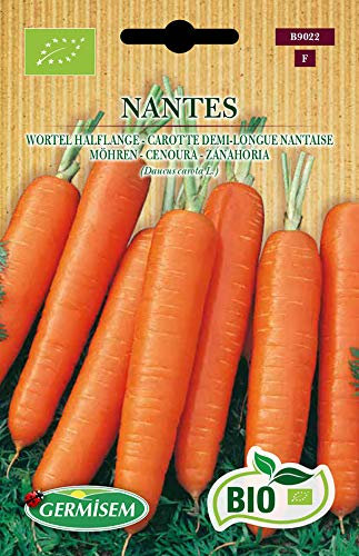 Germisem Bio Graines Carotte demi-longue Nantaise NANTES