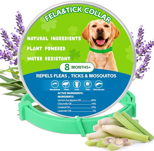 Trihood Natural Flea & Tick Prevention Dog Collars – 2-Pack Adjustable Waterproof Collars with Essential Oils (Lemon Eucalyptus, Citronella, Lavender, Linalool), Safe for All Breeds