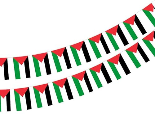 Pandiui23: 40 bandiere palestinesi 11,4 m PVC o vinile rettangolare palestinese per decorazioni da bar