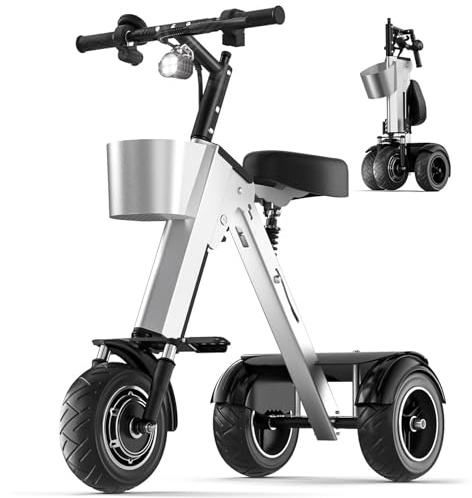 Triciclo Eléctrico Plegable De 3 Ruedas con Respaldo para Adultos, Ligero, con Batería Extraíble De 36v Y 10 Ah, Motor 450 W, Cesta Delantera,Velocidad Ajustable(For 2 People)