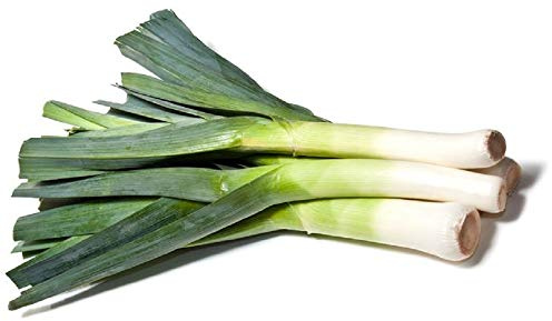 American Flag Leek 100 Seeds Allium Ampeloprasum Easy Grow : Seeds Only