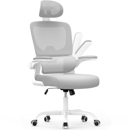 naspaluro Silla de Oficina Ergonómica con Soporte Lumbar, Silla de Escritorio Respaldo con Reposacabezas y Altura Ajustables, Reposabrazos Abatible, Silla Ergonomica Escritorio Soporte 136kg, Gris