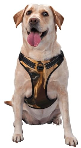 Chien Boxer,Harnais pour Animaux de Compagnie, Harnais réfléchissant réglable pour Chien,M