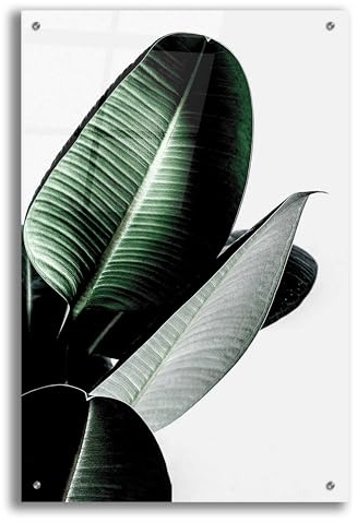 Epic Art 'Leaves' by Incado, Acrylic Glass Wall Art, 24x36