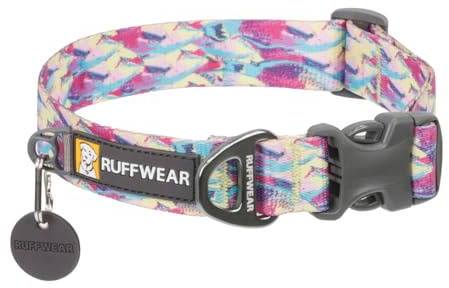 Ruffwear Front Range Small Dog Collar, Pet Dog Collar with Aluminum V-ring Dog Lead Attachment, Comfortable & Strong with Side Buckle & Webbing for Dog Walking, Size S (28-36cm), Reef Fish
