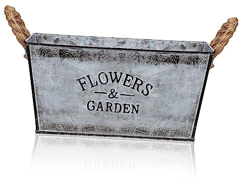 BESPORTBLE Maceta De Hierro Vintage con Diseño Multifuncional para Jardín Interior y Exterior Decoración Rústica y Contenedor para Flores para Plantas Suculentas y Arreglos