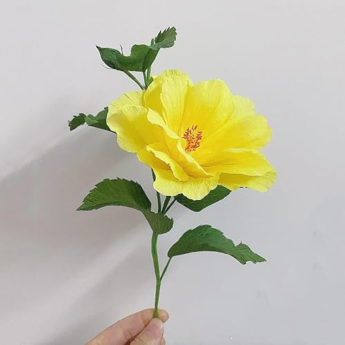 semilla de hibisco, semillas de planta de balcón resistentes para jardín, flores silvestres y decoración floral, hierbas 500pcs