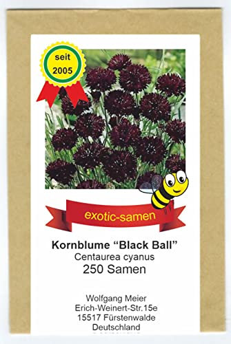 Centaurea cyanus - Bienenweide - Schwarze KornblumeBlack Ball - samenfeste Sorte - 250 Samen