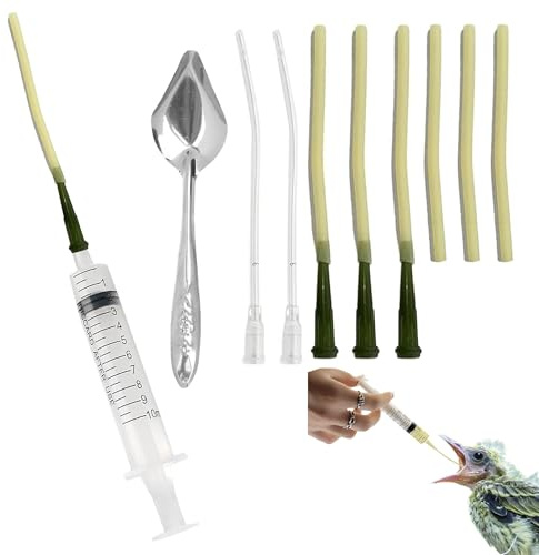 HAOBIN Tuyau d'alimentation pour Jeunes Oiseaux seringue de 10 ML avec Tuyau Seringue d'alimentation pour Oiseau d'accessoires pour Pigeons cuillère Acier Inoxydable pour Lait Eau médicaments (A)