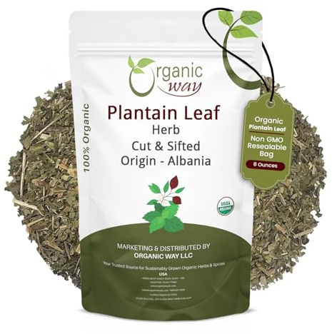 Organic Way Plantain Leaf Cut and Sifted - Herbal Tea | European Wild-Harvest | Organic & Kosher Certified | Non GMO & USDA Certified - Origin Albania (8 Ounce Pack)