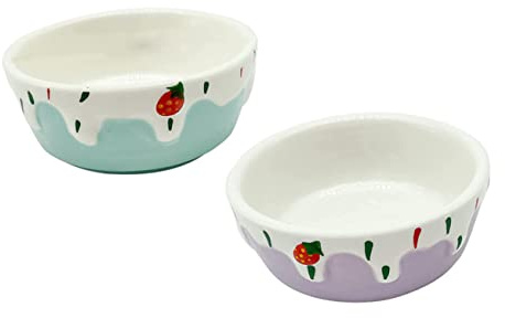 Toddmomy Cuenco De Cerámica para Comida De Mascotas Pequeñas, Tazón Pequeño Resistente, Juego De 2 Piezas (Morado y Azul), Adecuado para Hámster, Conejos y Chinchillas, Compacto y Fácil De Limpiar