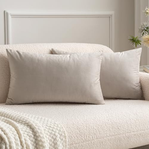 MIULEE Copricuscini per Camera da Letto Federe Cuscini per Divano in Velluto per Letto Matrimoniale Moderne Federa Decorativa Elegante per Soggiorno Casa 2 Pezzi 40X60 CM Cuore di Legno