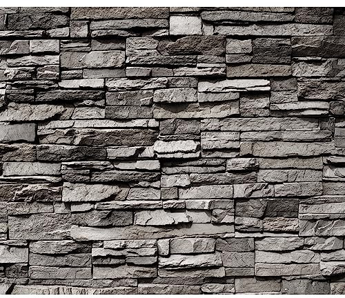 murando - Vlies Fototapete Steinwand 450x315cm Foto Tapete Schlafzimmer Wohnzimmer Vliestapete XXL Motivtapeten Bildtapete 3d Effekt Wand Dekoration - Steintapete Steine Stein Mauer Steinoptik 3D