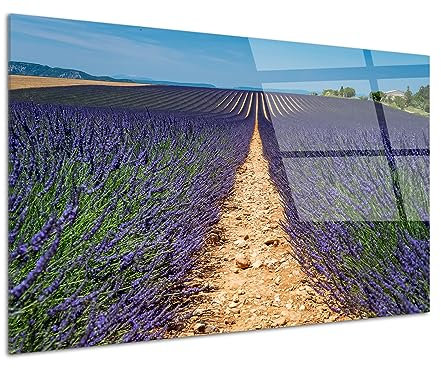 DECLINA Lavagna in plexiglass design, lavagna in vetro acrilico, decorazione da parete, foto su plxi, quadro plexiglass decorativo Le Plateau de Valensole, 120x80 cm