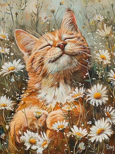 Bimkole 5D Diamond Paintinger För Vuxna Orange Katt, Full Borrmålning Gör-det-själv Strass Broderi Set Färg Med Diamanter Kit Tusensköna Djur Korsstygn Hem Vägg Hantverk Dekoration 30x40cm