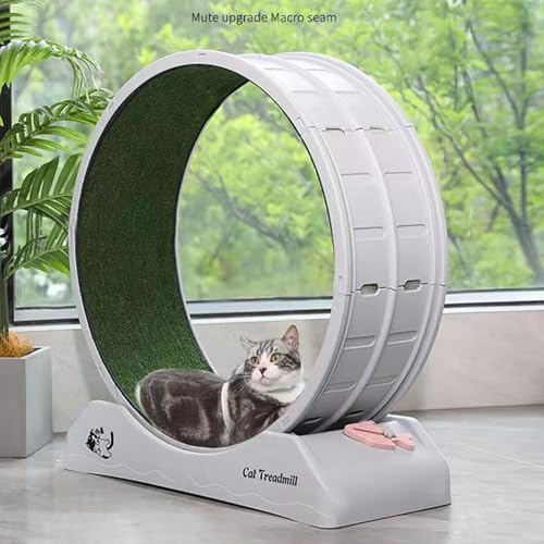 Cat Wheel, Large Cat Exercise Treadmill Wheel with Brake and Carpeted Runway Running Wheel Teaser for Indoor Cats Interactive Toys for Running Walking Training