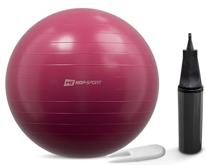 HOP-Sport® Ballon de Fitness 45 cm HS-R045YB avec Pompe à air, Anti-éclatement, Ballon de Gymnastique Antidérapant pour Yoga, Pilates et Renforcement Musculaire, Charge Max. 100 kg, Violet mûre