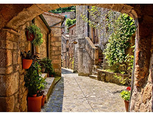 Runa Art Fototapete Italien Gasse Modern Vlies Wohnzimmer Schlafzimmer - Made in Germany - 308 x 220 cm Braun 9221010a